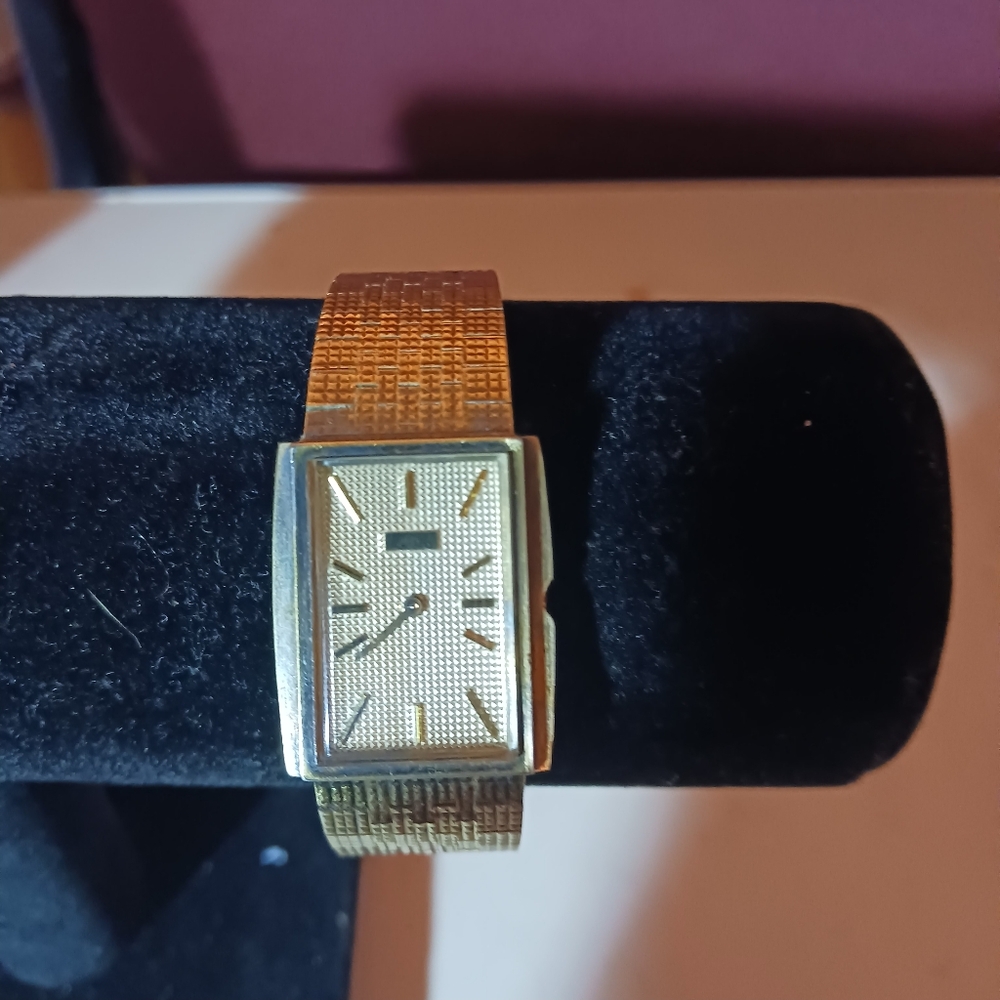 Vintage Egin Men Watch